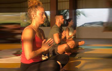 Harness Transformation: Trending Hatha Yoga Teacher Training in Goa with Adiyogam