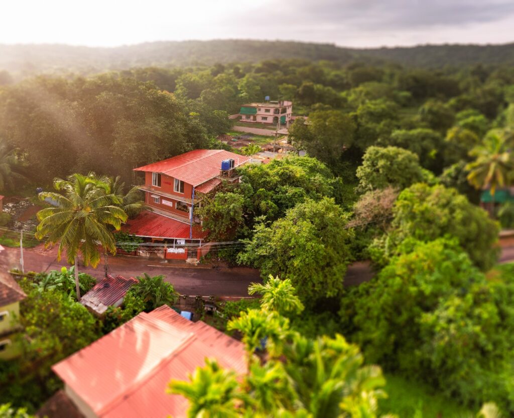 Forest surrounded shala